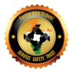 logo force one travel